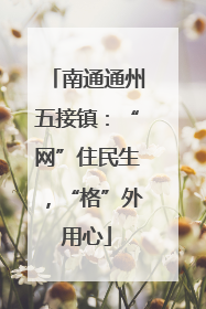 南通通州五接镇：“网”住民生，“格”外用心
