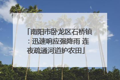 南阳市卧龙区石桥镇：迅速响应强降雨 连夜疏通河道护农田
