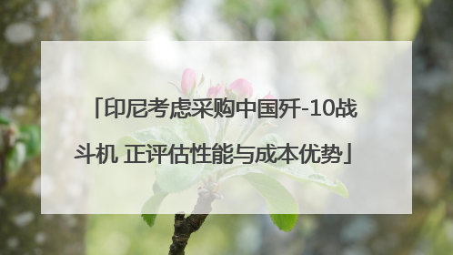印尼考虑采购中国歼-10战斗机 正评估性能与成本优势