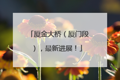 厦金大桥（厦门段），最新进展！