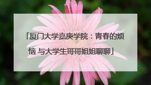 厦门大学嘉庚学院：青春的烦恼 与大学生哥哥姐姐聊聊