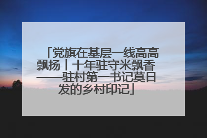 党旗在基层一线高高飘扬丨十年驻守米飘香——驻村第一书记莫日发的乡村印记