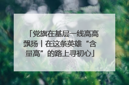 党旗在基层一线高高飘扬丨在这条英雄“含量高”的路上寻初心
