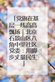 党旗在基层一线高高飘扬｜北京石景山区八角中里社区党委：用脚步丈量民生