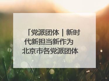 党派团体｜新时代新担当新作为 北京市各党派团体这么干！