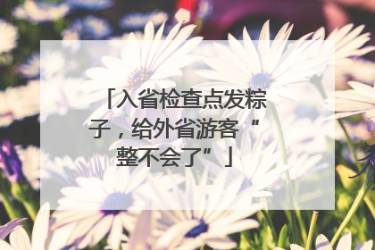 入省检查点发粽子，给外省游客“整不会了”