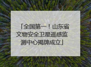 全国第一！山东省文物安全卫星遥感监测中心揭牌成立