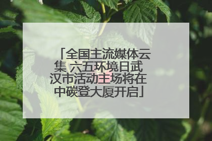 全国主流媒体云集 六五环境日武汉市活动主场将在中碳登大厦开启