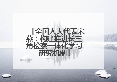 全国人大代表宋燕：构建推进长三角检察一体化学习研究机制