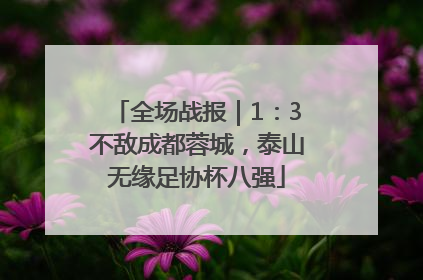 全场战报｜1：3不敌成都蓉城，泰山无缘足协杯八强