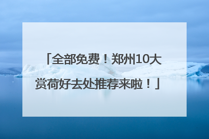 全部免费！郑州10大赏荷好去处推荐来啦！