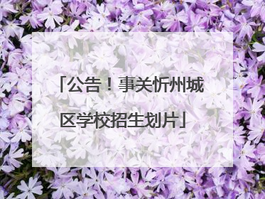 公告！事关忻州城区学校招生划片