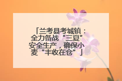 兰考县考城镇：全力备战“三夏”安全生产，确保小麦“丰收在仓”