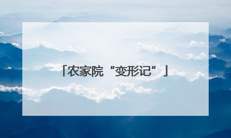 农家院“变形记”