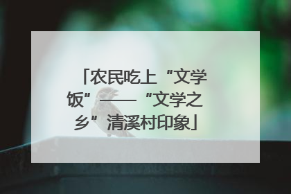农民吃上“文学饭”——“文学之乡”清溪村印象