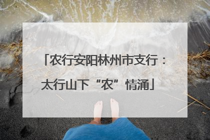 农行安阳林州市支行：太行山下“农”情涌