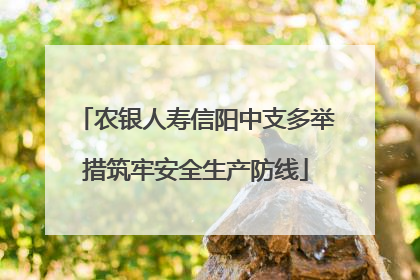 农银人寿信阳中支多举措筑牢安全生产防线