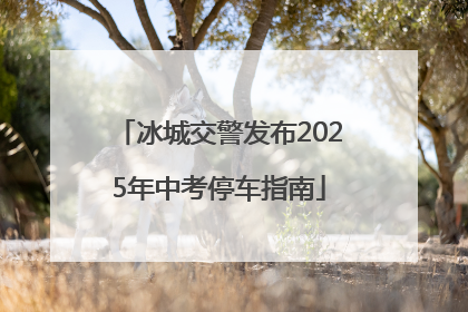 冰城交警发布2025年中考停车指南