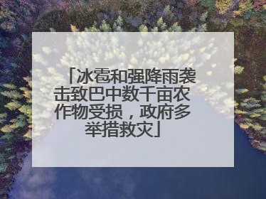 冰雹和强降雨袭击致巴中数千亩农作物受损，政府多举措救灾