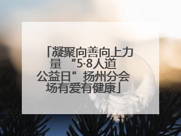 凝聚向善向上力量 “5·8人道公益日”扬州分会场有爱有健康