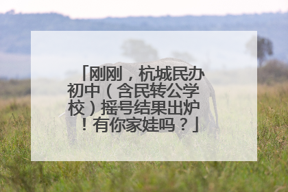 刚刚，杭城民办初中（含民转公学校）摇号结果出炉！有你家娃吗？