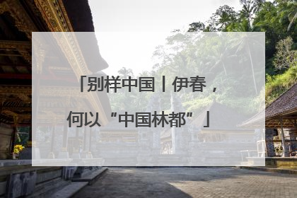别样中国丨伊春，何以“中国林都”