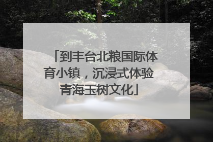 到丰台北粮国际体育小镇，沉浸式体验青海玉树文化