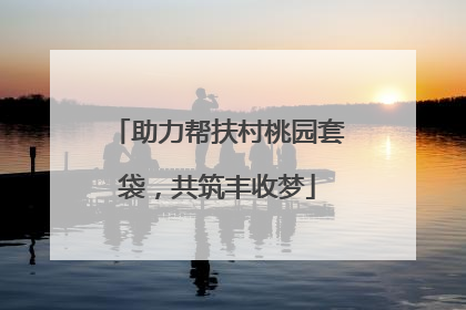 助力帮扶村桃园套袋，共筑丰收梦