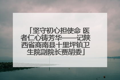 坚守初心担使命 医者仁心铸芳华——记陕西省商南县十里坪镇卫生院副院长贾胡委