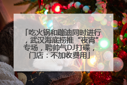 吃火锅和蹦迪同时进行，武汉海底捞推“夜宵”专场，聘帅气DJ打碟，门店：不加收费用