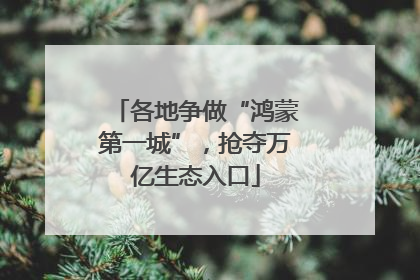 各地争做“鸿蒙第一城”，抢夺万亿生态入口
