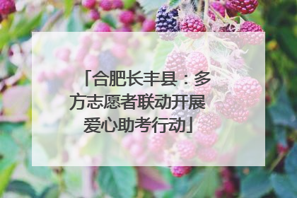 合肥长丰县：多方志愿者联动开展爱心助考行动