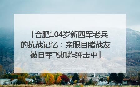 合肥104岁新四军老兵的抗战记忆：亲眼目睹战友被日军飞机炸弹击中