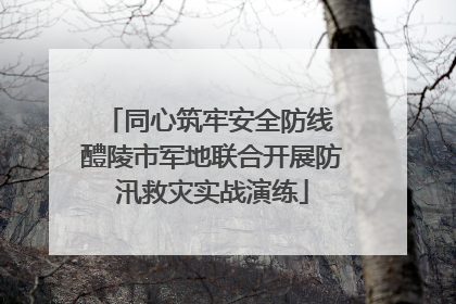 同心筑牢安全防线 醴陵市军地联合开展防汛救灾实战演练