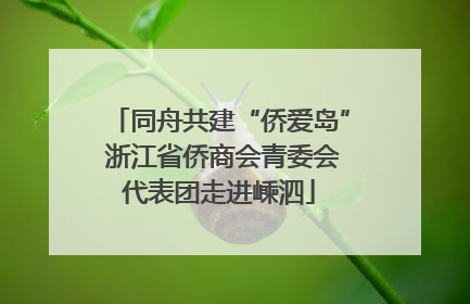 同舟共建“侨爱岛” 浙江省侨商会青委会代表团走进嵊泗