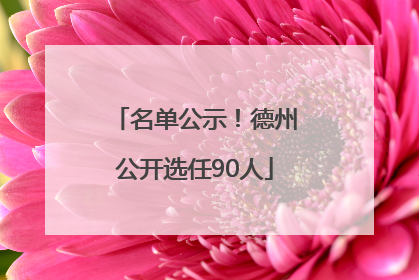名单公示！德州公开选任90人