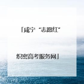 咸宁“志愿红”织密高考服务网