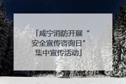咸宁消防开展“安全宣传咨询日”集中宣传活动
