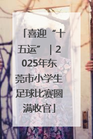 喜迎“十五运”｜2025年东莞市小学生足球比赛圆满收官