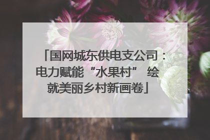 国网城东供电支公司：电力赋能“水果村” 绘就美丽乡村新画卷