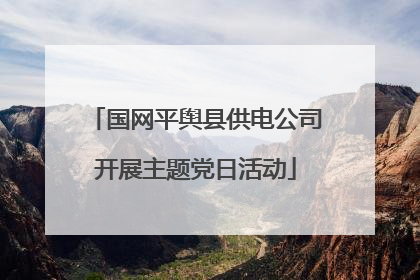 国网平舆县供电公司开展主题党日活动