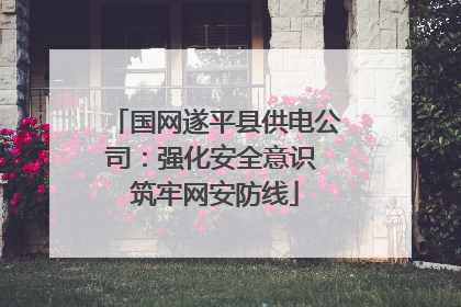 国网遂平县供电公司：强化安全意识 筑牢网安防线
