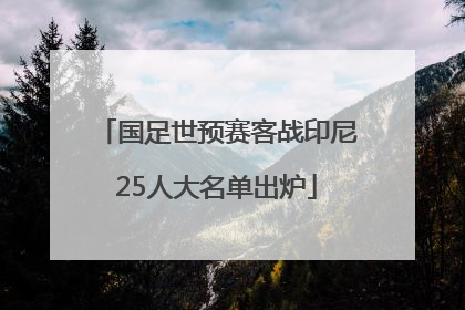 国足世预赛客战印尼25人大名单出炉