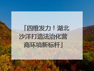 四维发力！湖北沙洋打造法治化营商环境新标杆