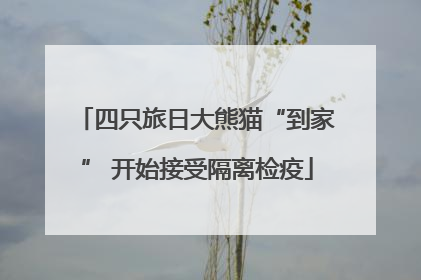 四只旅日大熊猫“到家” 开始接受隔离检疫