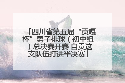 四川省第五届“贡嘎杯”男子排球（初中组）总决赛开赛 自贡这支队伍打进半决赛