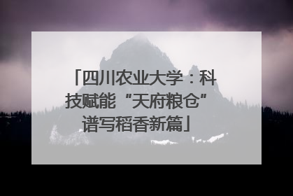 四川农业大学：科技赋能“天府粮仓”谱写稻香新篇