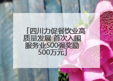 四川力促餐饮业高质量发展 首次入围服务业500强奖励500万元
