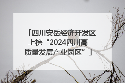 四川安岳经济开发区上榜“2024四川高质量发展产业园区”