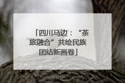 四川马边：“茶旅融合”共绘民族团结新画卷